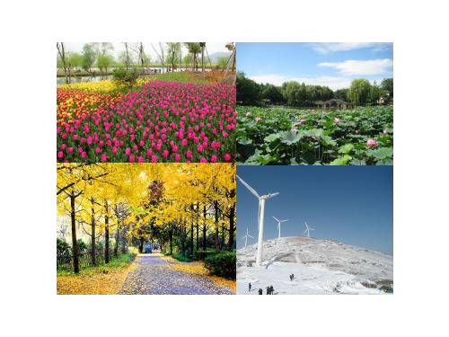 43地球的绕日运动-浙江省杭州市周浦中学浙教版科学七年级下册课件(共34张PPT)