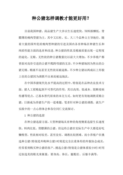 种公猪怎样调教才能更好用？
