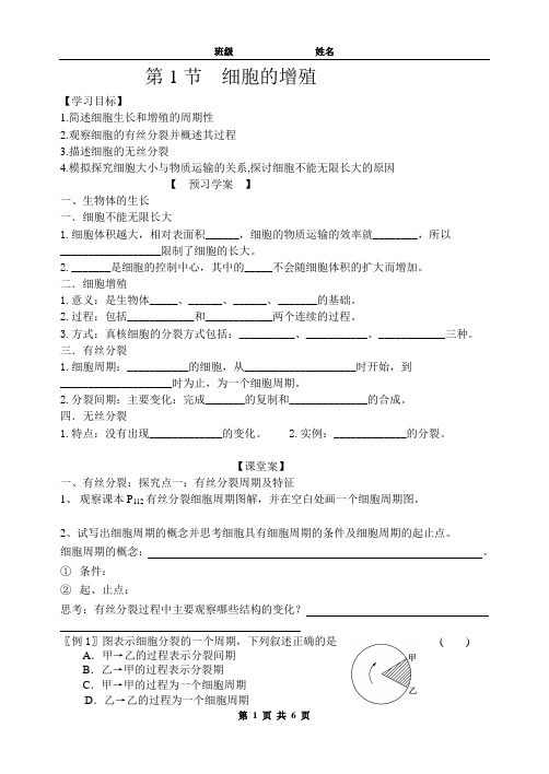 有丝分裂学案 (1)