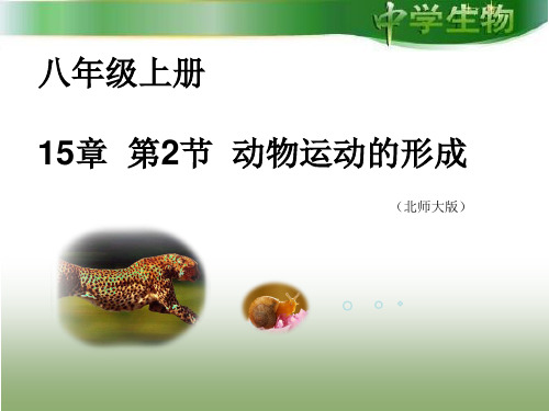 北师大版初中生物八年级上册 5.15.2 动物运动的形成 课件1(共38张PPT)