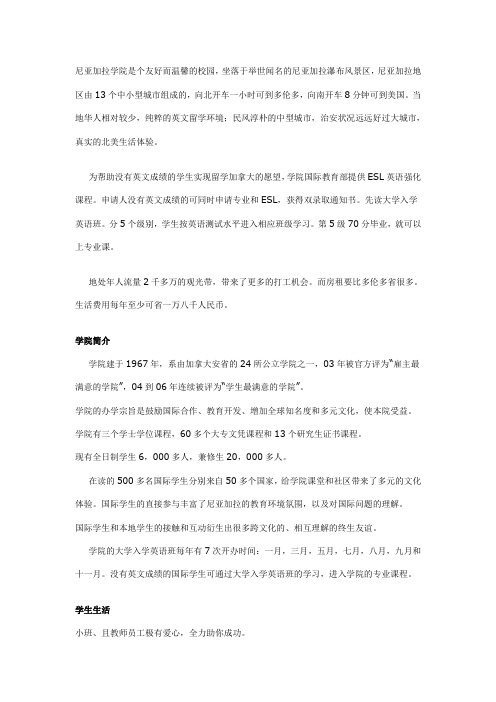 尼亚加拉学院