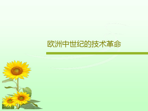 欧洲中世纪的技术革命共25页文档