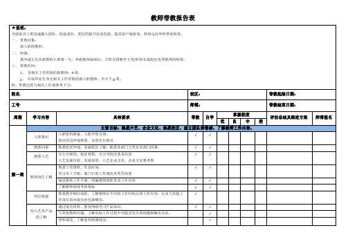 教师带教报告表