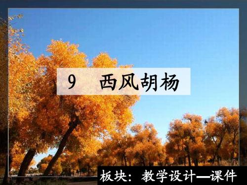 9 西风胡杨_课件