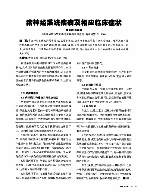 猪神经系统疾病及相应临床症状