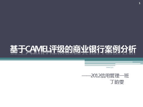 基于CAMEL的商业银行风险分析PPT课件
