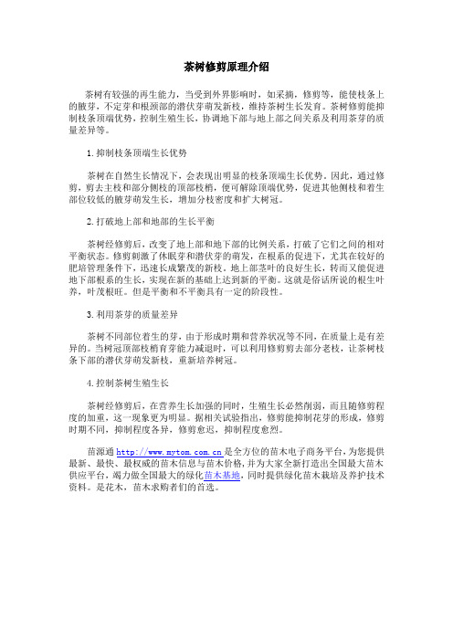 茶树修剪原理介绍