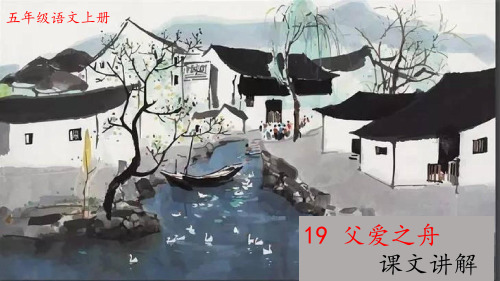 五年级语文上册第19课《父爱之舟》课文讲解