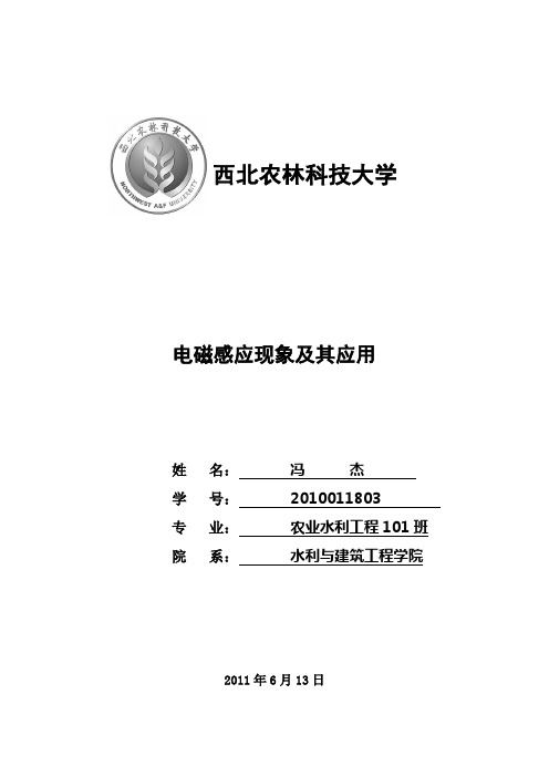 大物论文电磁感应现象及其应用