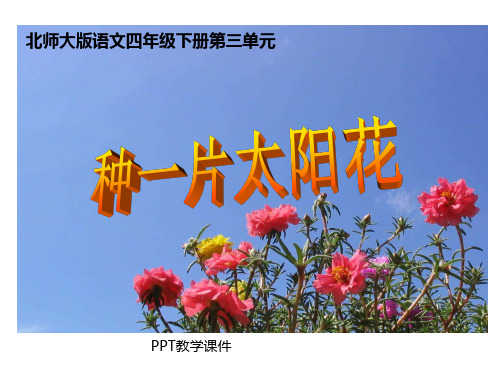 北师大版四年级语文下册《种一片太阳花3》教学课件
