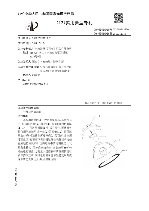 【CN209643579U】一种益智猫玩具【专利】