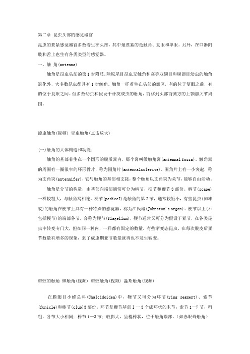 (精选)昆虫学讲义(二)