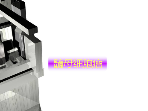 髓母细胞瘤课件