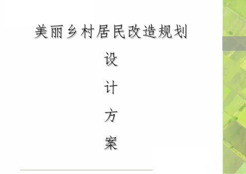 美丽乡村居民改造规划设计方案