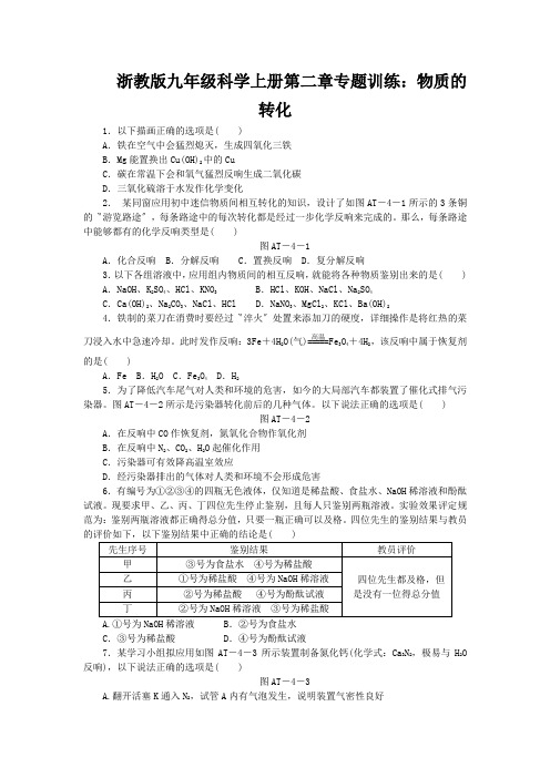 浙教版九年级科学上册第二章专题训练：物质的转化