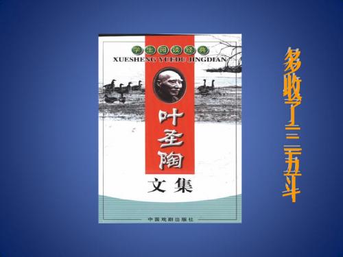 《多收了三五斗》课件3(10页)(苏教版九上)
