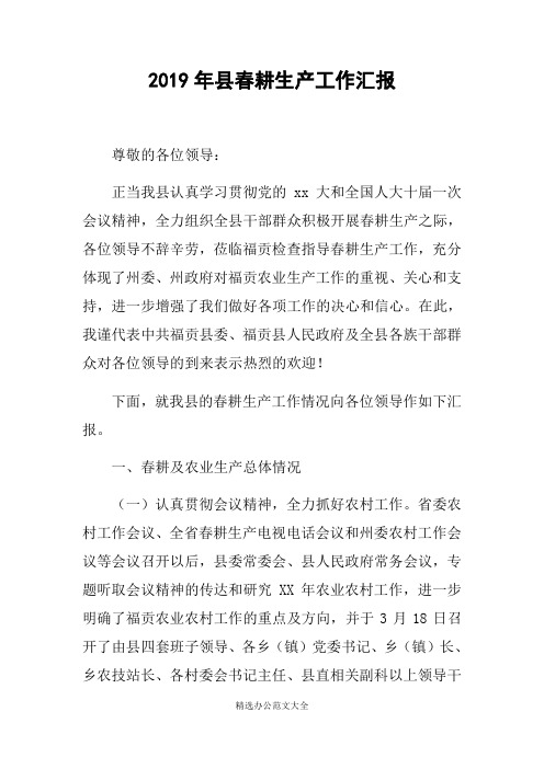 2019年县春耕生产工作汇报