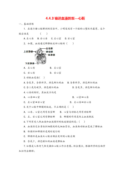 七年级下册生物4.4.3 输送血液的泵—心脏同步练习