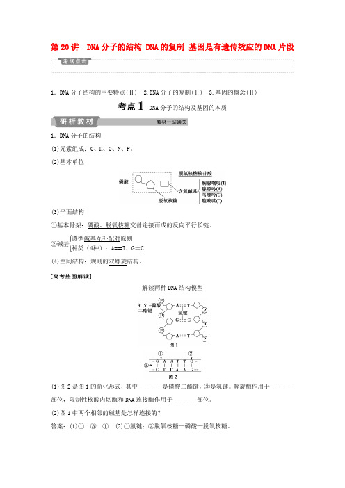 高考生物一轮复习 第六单元 遗传的物质基础 第20讲 DNA分子的结构 DNA的复制 基因是有遗传效