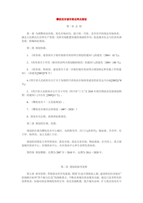 攀枝花市城市商业网点规划
