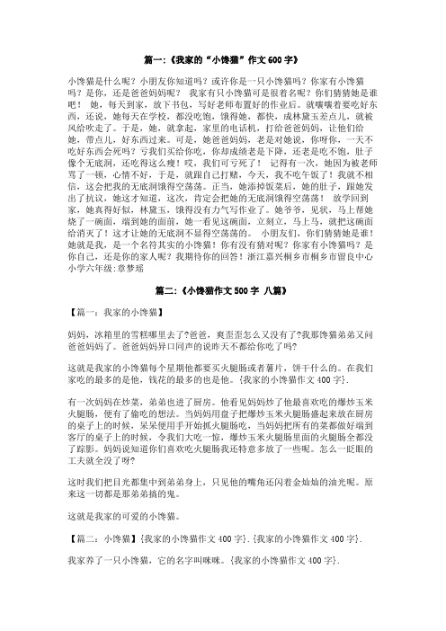 我家的小馋猫作文400字