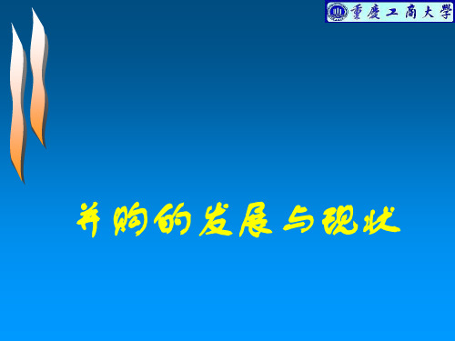 并购的发展与现状概述(PPT 71张)