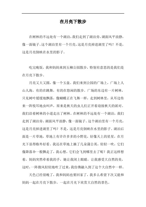 在月光下散步四年级作文