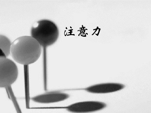 人因工程实验——注意力