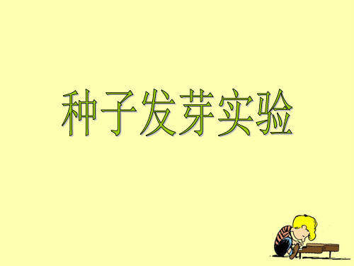 种子发芽实验二)教学课件ppt