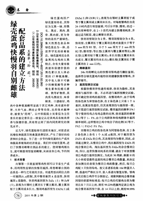 绿壳蛋鸡快慢羽自别雌雄配套品系的建立方法