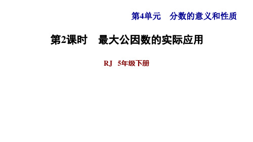 人教版小学数学五年级下册第四单元第8课时  最大公因数的应用 (习题课件)