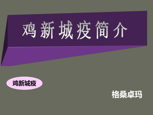 鸡新城疫简介