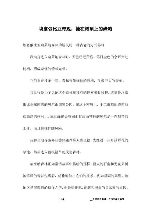 埃塞俄比亚奇观：挂在树顶上的蜂箱