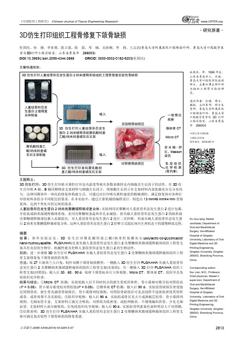 3D仿生打印组织工程骨修复下颌骨缺损