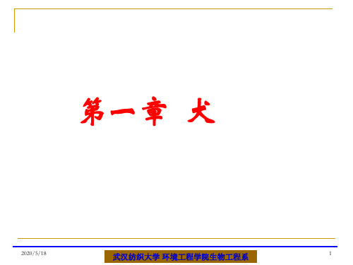 宠物饲养与鉴赏-第一章犬
