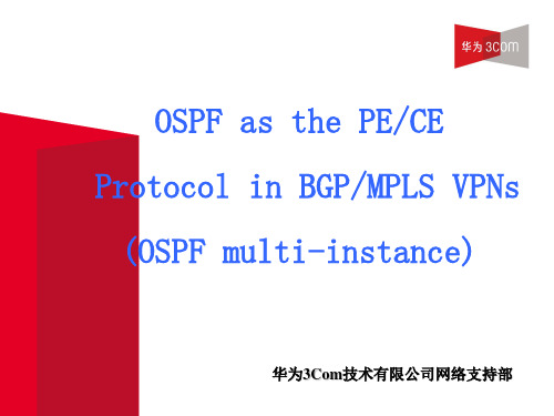 OSPF Multi-instance