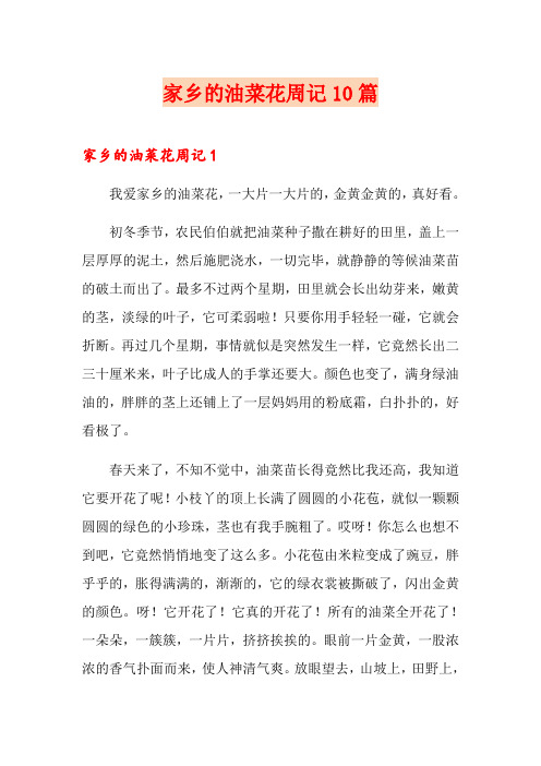 家乡的油菜花周记10篇