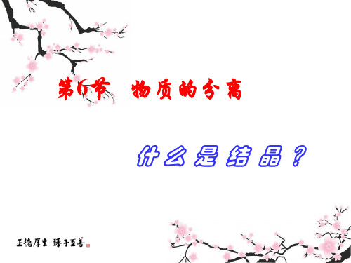 浙教版八年级科学上册课件：1.6 物质的分离(1)(共34张PPT)
