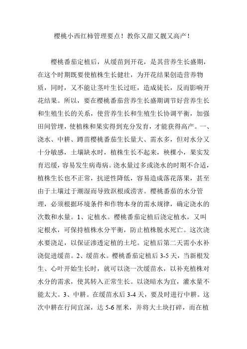 樱桃小西红柿管理要点教你又甜又靓又高产