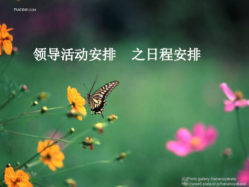 秘书领导活动安排方案