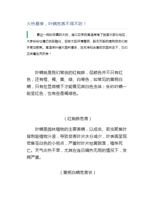 火热夏季,叶螨危害不得不防【园林管理】