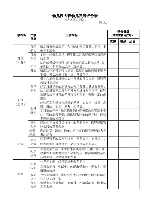 大班幼儿发展评定表