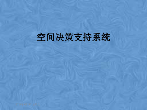 空间决策支持系统