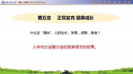 冀少版七年级生物下册第五章第1节激素与生长发育