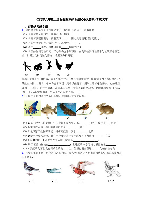江门市八年级上册生物期末综合题试卷及答案-百度文库
