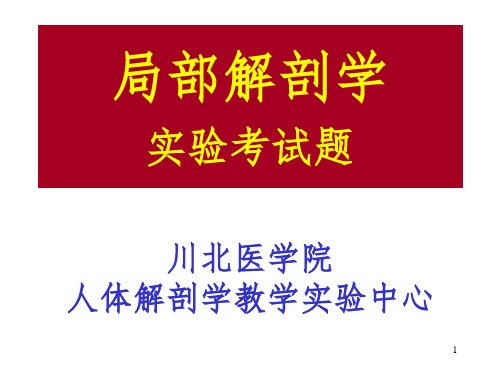 局解标本图片-文档资料