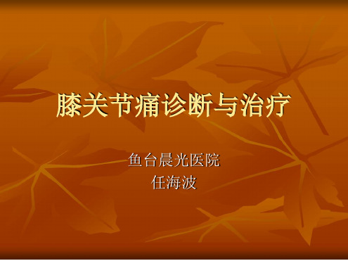 膝关节痛-任海波