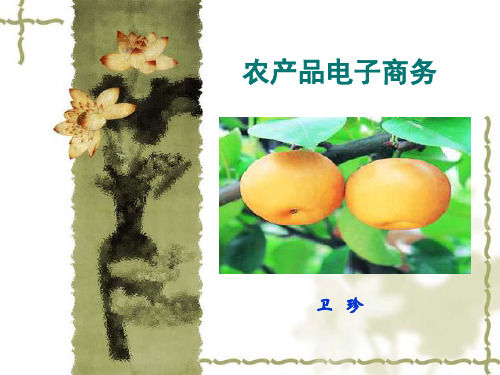 农产品电子商务.ppt