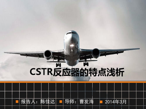 CSTR反应器