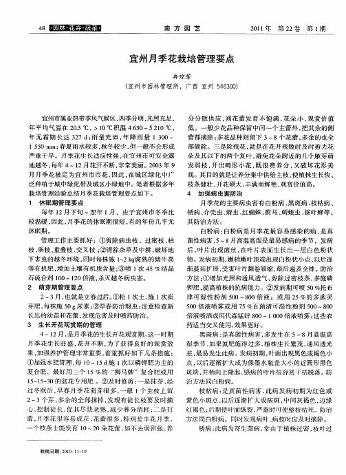 宜州月季花栽培管理要点